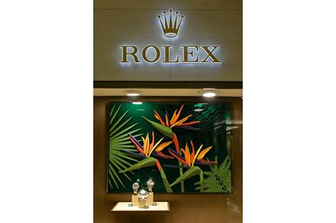 ‭Frattina Boutique Rolex‬